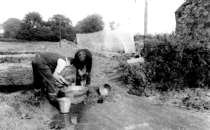 Hatchery: Norton, Fish Hatchery c1960