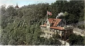 Treetops: NORWAY/BIRKELUNDEN 1905