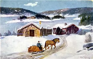 Woodpile: NORWAY/FARM BY FJORD