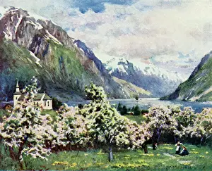 Odde: NORWAY/HARDANGERFJORD
