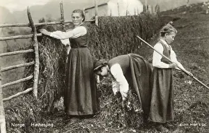 Raking: Norway - Hay-Drying on racks