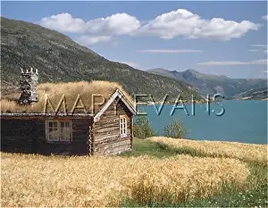 Vaga: NORWAY LOG HOUSE 1994