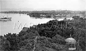 Treetops: NORWAY/STAVANGER 1896