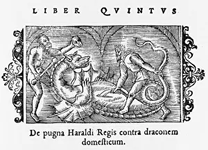 Slays: Norwegian dragon slain by King Harold