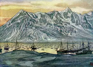 Lofoten: NORWEGIAN FISHING FLEET