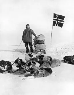 Helmer: The Norwegian Flag at the South Pole 1911