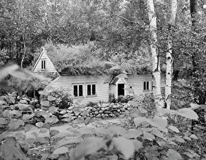 Ad Lib Studios: NORWEGIAN HOUSE