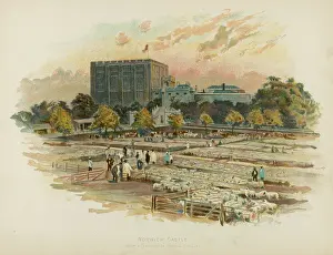 Pens: NORWICH CASTLE/C1895
