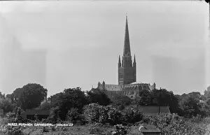 Judge Sampson Ltd: Norwich Cathedral