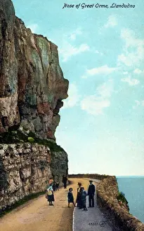 Orme: Nose of Great Orme, Llandudno, North Wales