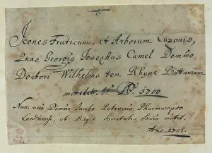 Sloane: Note from Descriptiones Fruticum et Arborum Luzonis