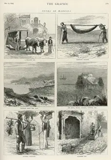 Hammock: NOTES IN MADEIRA