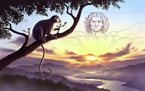 Miocene: Notharctus sits on a tree branch with Vitruvian man as a ?