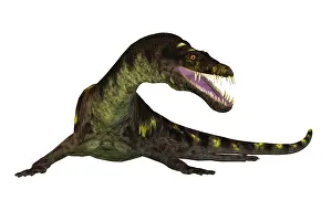 Sauropterygia: Nothosaurus aquatic reptile, front view on white background