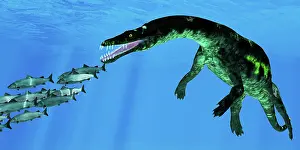 Tethys: A Nothosaurus attacking a school of Atlantic salmon