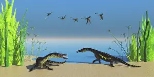 Peteinosaurus: Nothosaurus dinosaurs on a Triassic beach with