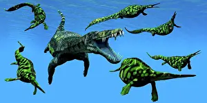 Hungry: A Nothosaurus marine reptile attacks a pod of