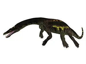 Webbed: Nothosaurus reptile, side view
