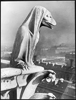 Gargoyle: NOTRE DAME GARGOYLE 1930