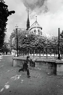 Fugitive: Notre Dame, Paris