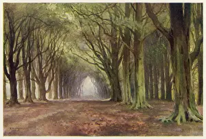 Notts: NOTTS. SCENERY