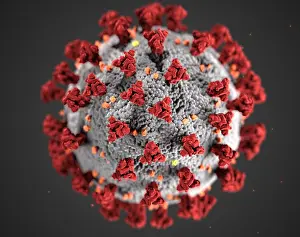 Virion: Novel Coronavirus SARS-CoV-2, causes coronavirus