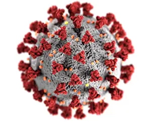 Virion: Novel Coronavirus SARS-CoV-2, causes coronavirus