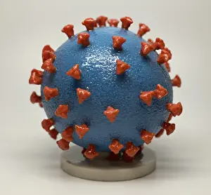Virion: Novel Coronavirus SARS-CoV-2, causes coronavirus