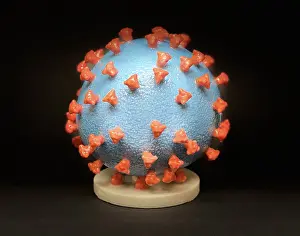 Virion: Novel Coronavirus SARS-CoV-2, causes coronavirus