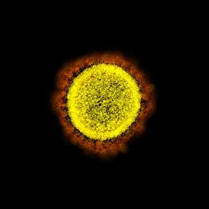 Sars: Novel Coronavirus SARS-CoV-2, the virus that causes
