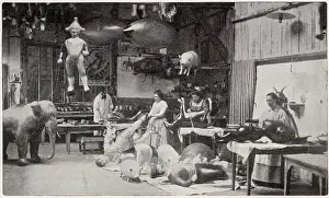 Fetes: Novelty Balloon Making in Paris 1901