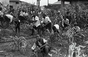 Benoni: November 1955 - Its A Matter Of Sip And Fly At The