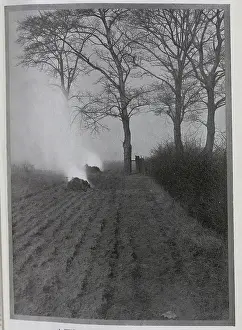 Furrows: November in the Cornfields, by B Ward-Thompson
