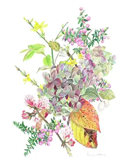Jasmine: November Flowers and Berries