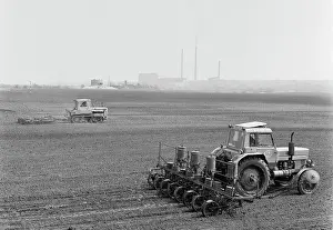 Beet: Novoselki State Farm