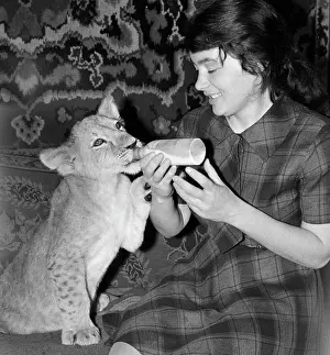 Kotova: Novosibirsk Zoo