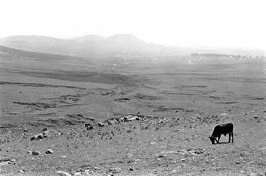 Horizons: Nqutu, with an unsustainable number of rural agarian