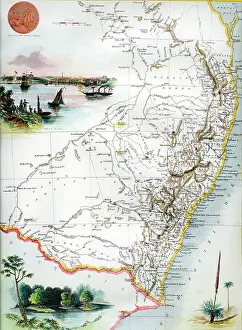 Tallis: Nsw, Australia