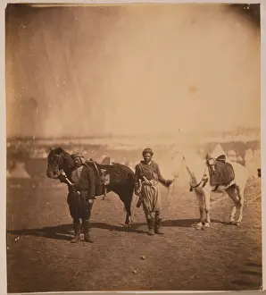 Nubian: Nubian servants & horses