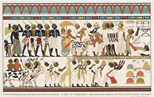 1293: NUBIANS IN ANCIENT EGYPT