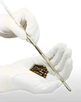 Oxide: Nuclear Fuel Pellets