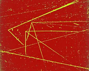 Detector: Nuclear Particle Tracks