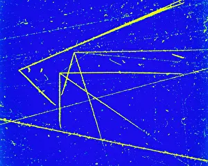 Detector: Nuclear Particle Tracks