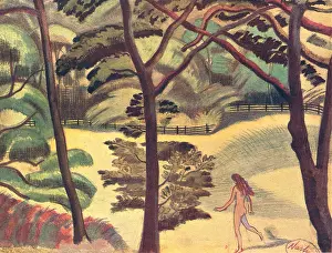 Shielding: Nude Girl In A Field