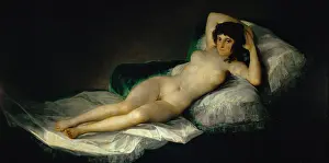 Maja: The nude maja