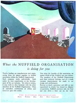 Nuffield: The Nuffield Organisation