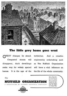 Nuffield: The Nuffield Organization