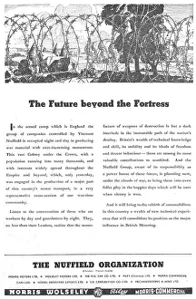 Nuffield: The Nuffield Organization - Aircraft Production
