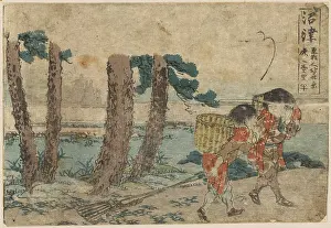 Clam: Numazu