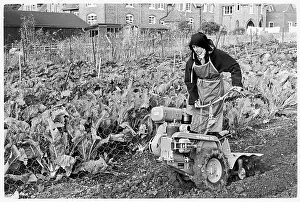 Clares: Nun using rotovator for planting, Poor Clares Convent